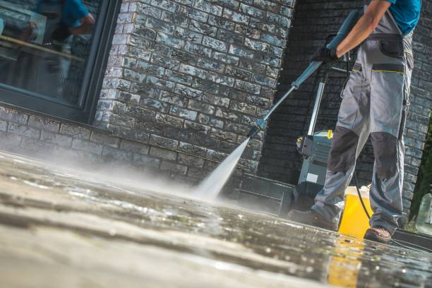 Best Soft Washing  in Leonard, TX