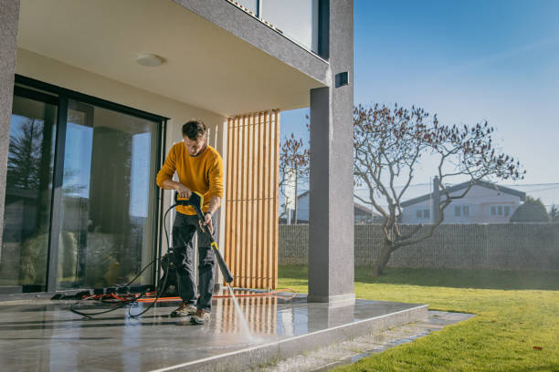 Best Solar Panel Cleaning  in Leonard, TX